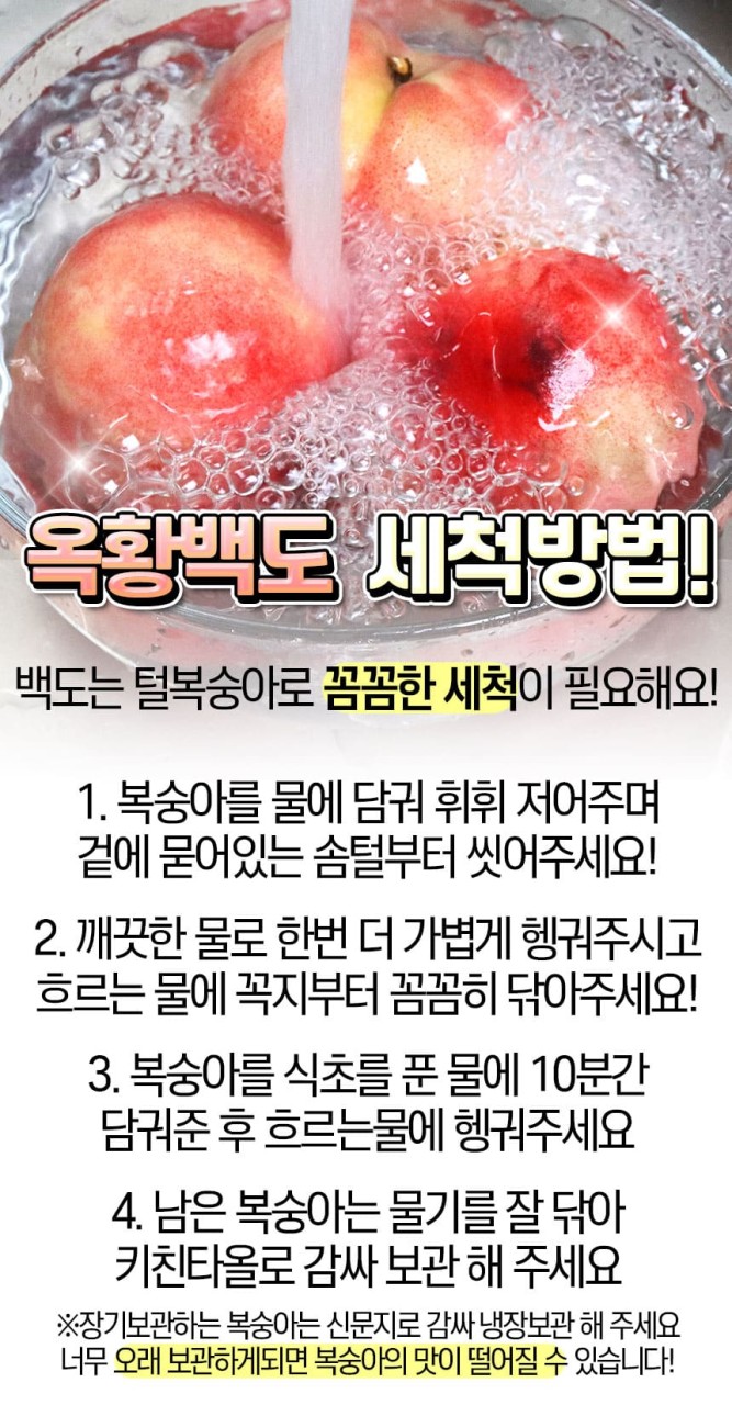 백도 딱딱이
