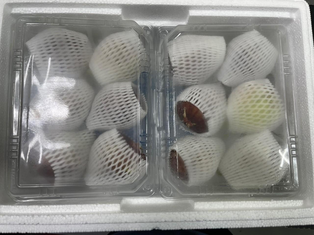산지직송, 영암 홍무화과