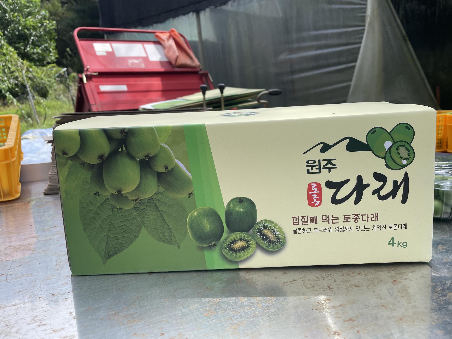 치악산 생 토종다래
