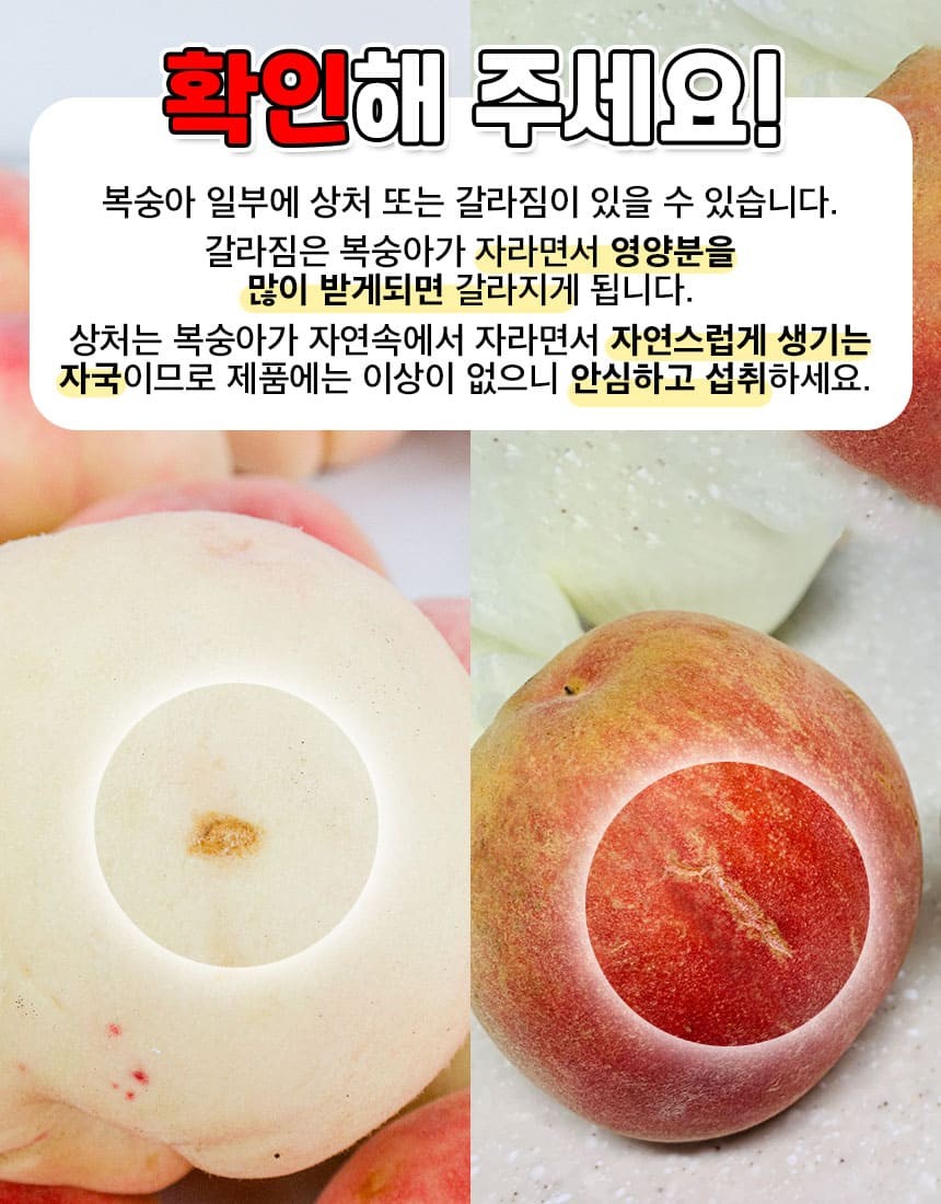 백도 딱딱이