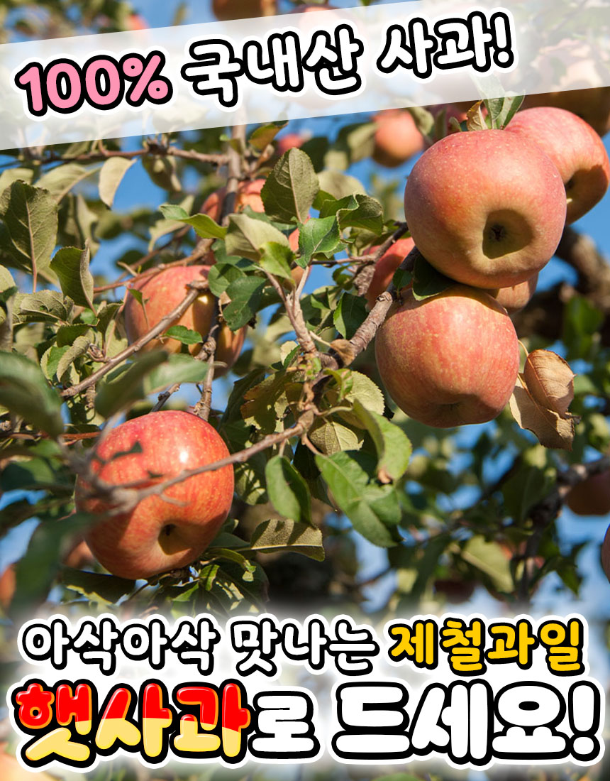 햇 가정용 홍로사과