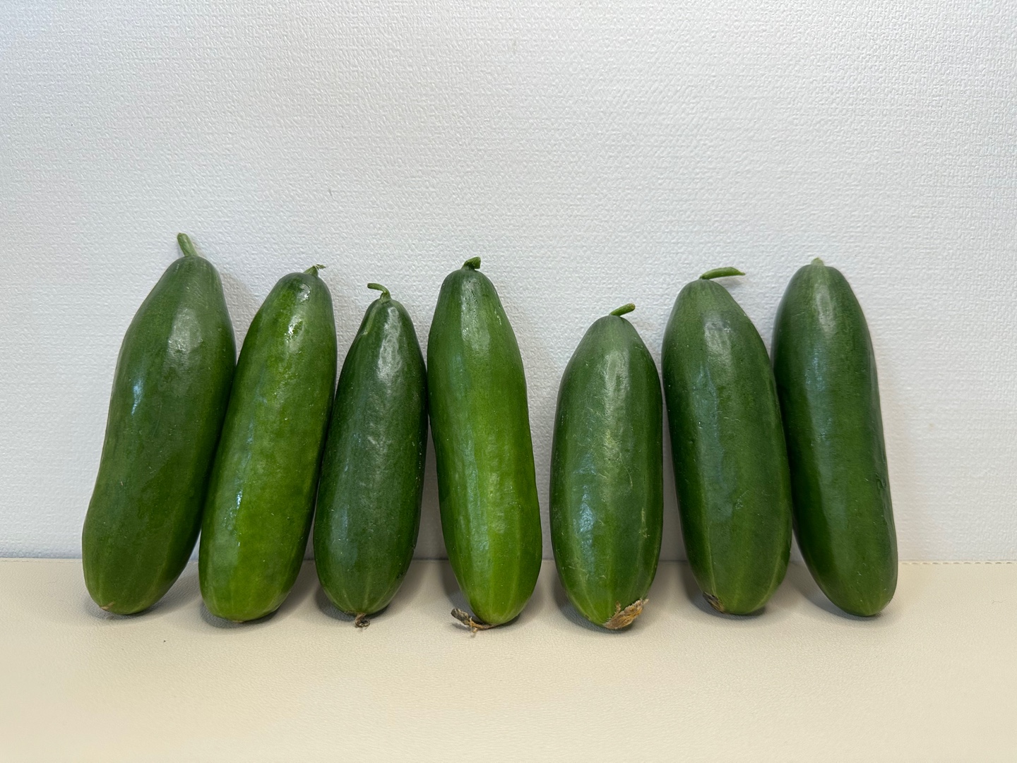 시원 아삭 미니오이🥒