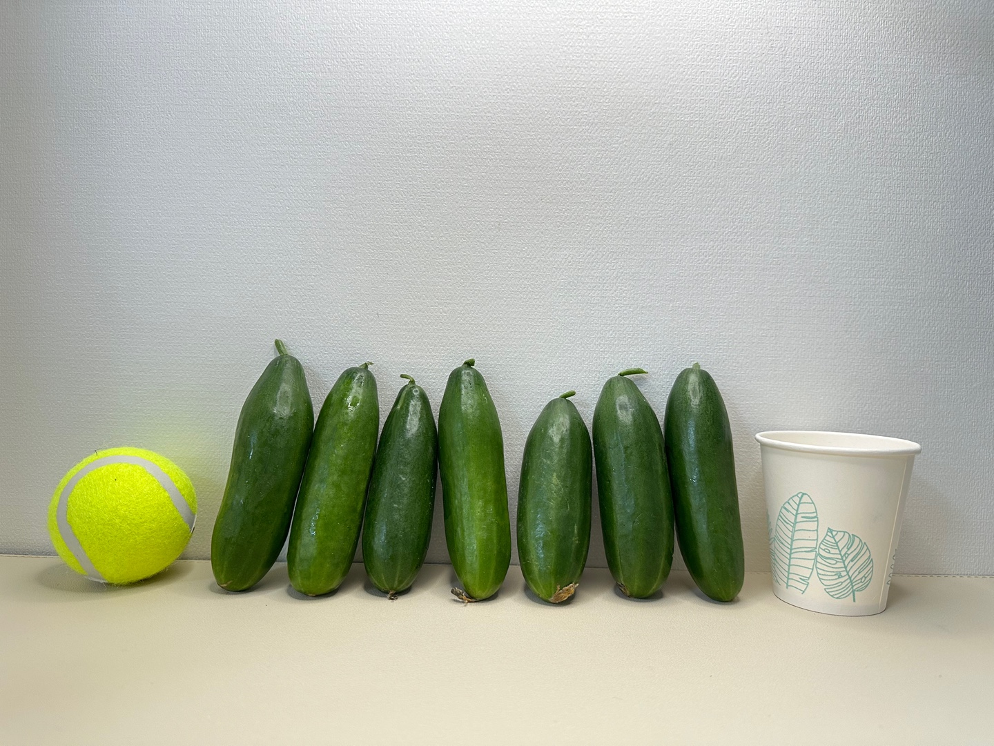 시원 아삭 미니오이🥒