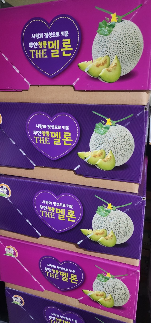 국내산 꿀 메론 한박스🍈