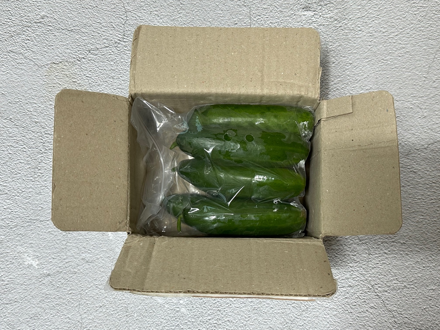 시원 아삭 미니오이🥒