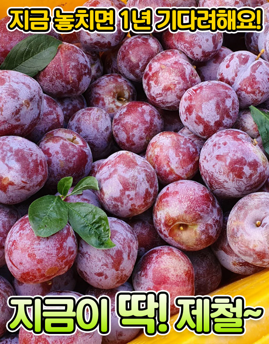 새콤달콤 피자두