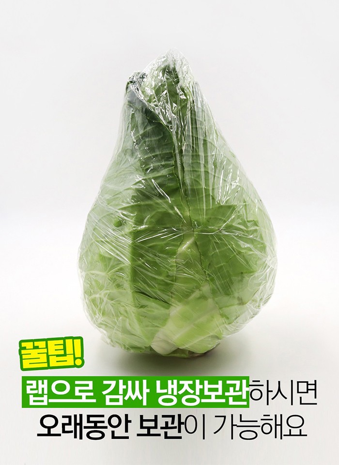 제주 고깔 양배추
