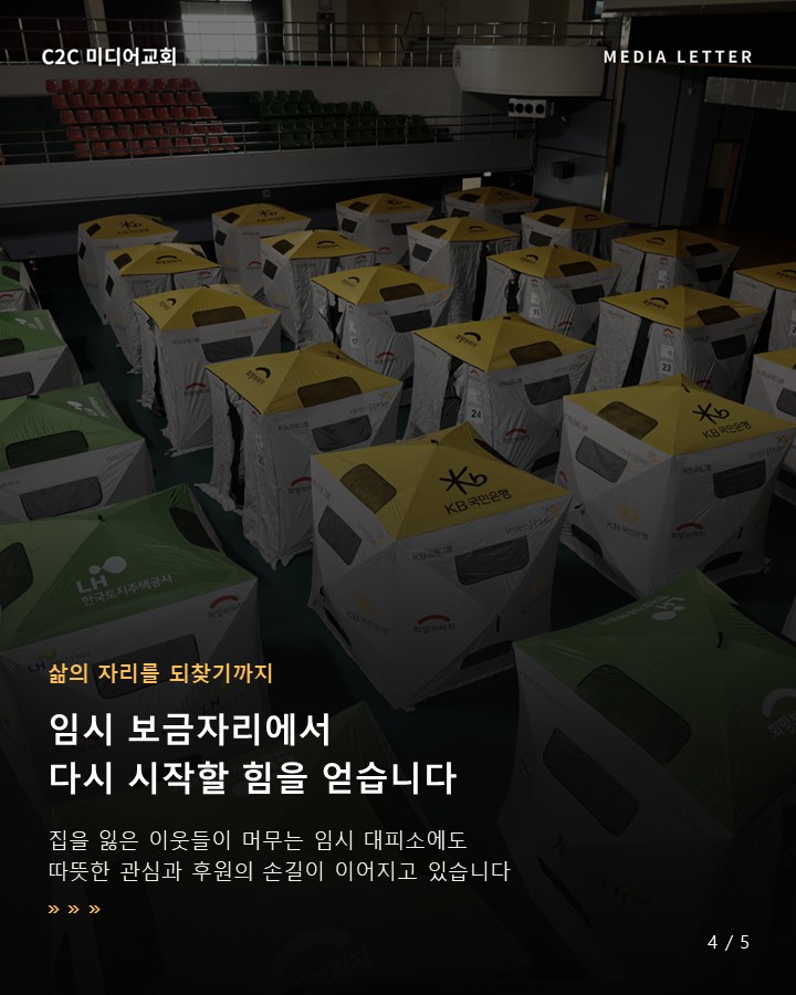 ccf898d26c355.jpg