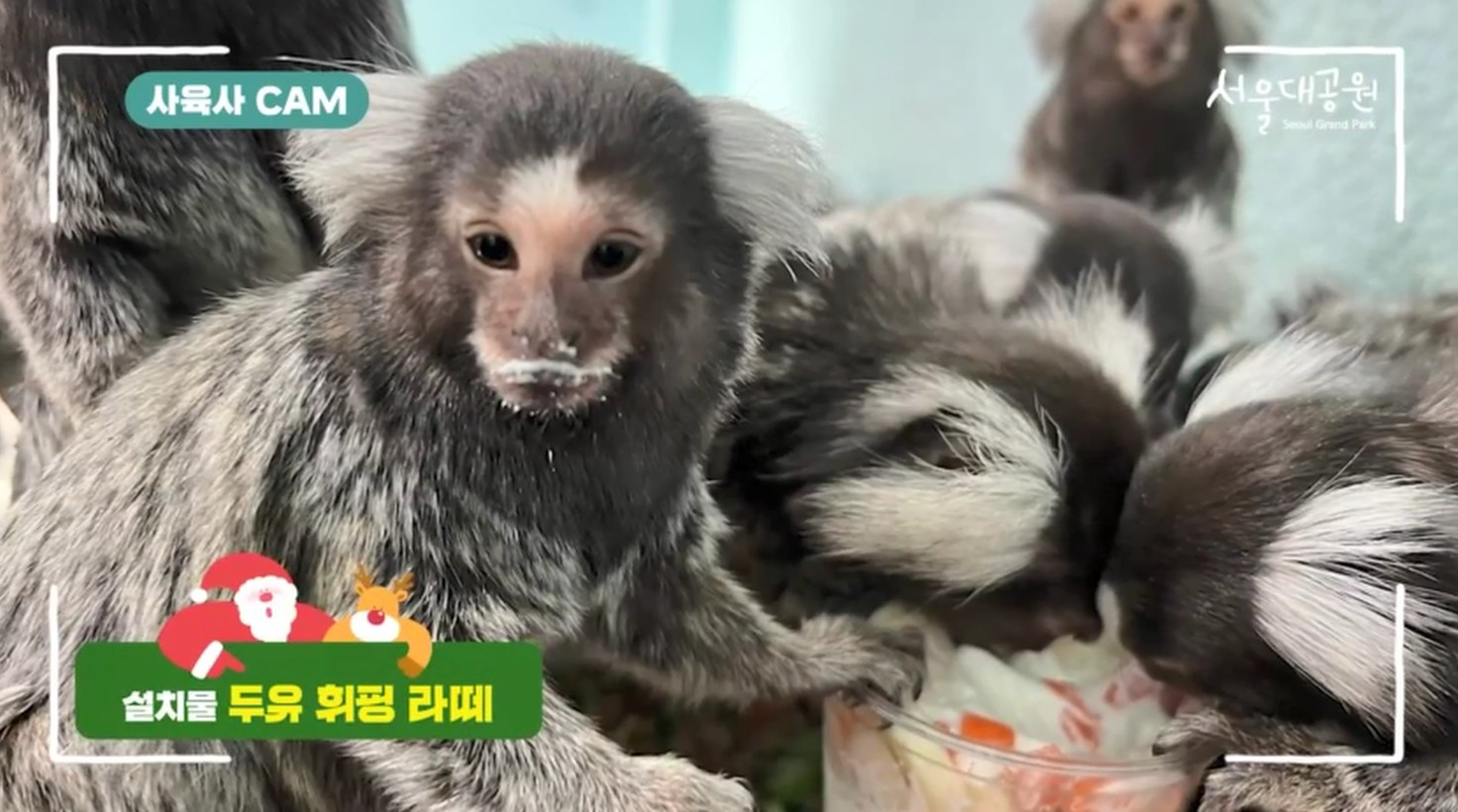 그림입니다. 원본 그림의 이름: 어린이동물원2.jpg 원본 그림의 크기: 가로 1472pixel, 세로 820pixel