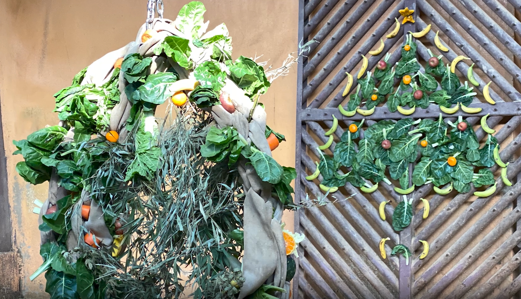 그림입니다. 원본 그림의 이름: 먹이 트리.jpg 원본 그림의 크기: 가로 1663pixel, 세로 956pixel