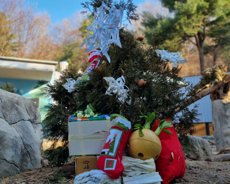 그림입니다. 원본 그림의 이름: 사본 -곰 트리.jpg 원본 그림의 크기: 가로 949pixel, 세로 759pixel