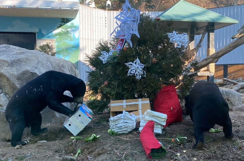 그림입니다. 원본 그림의 이름: 사본 -곰.jpg 원본 그림의 크기: 가로 846pixel, 세로 558pixel