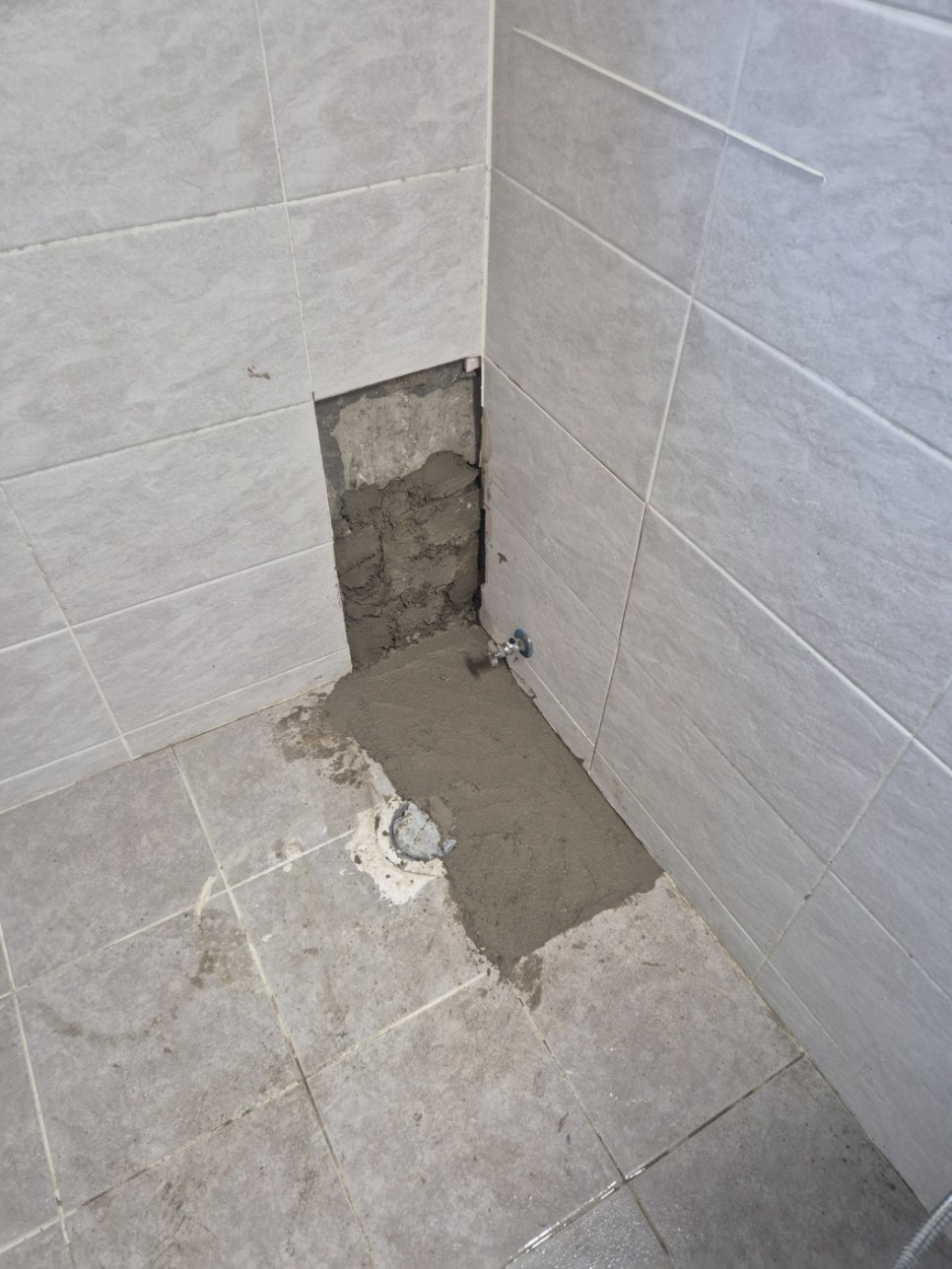 48cb6bd56d169.jpg