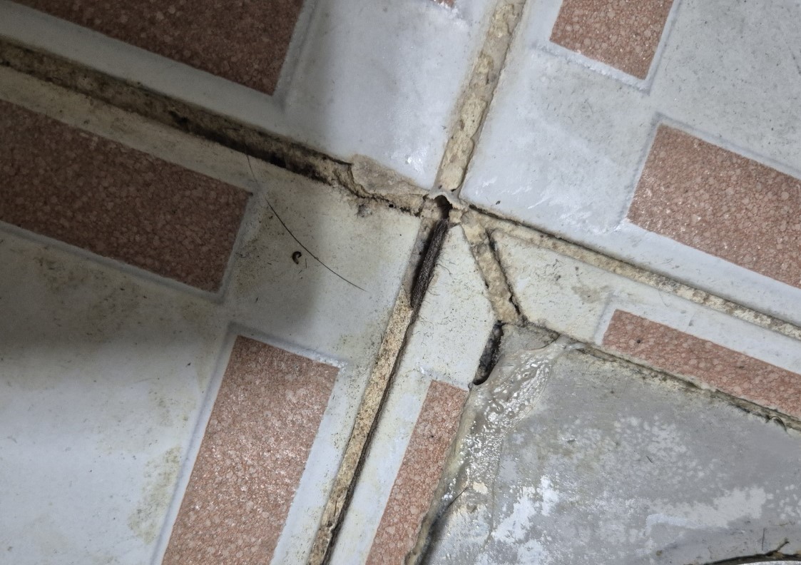 54581011e8878.jpg