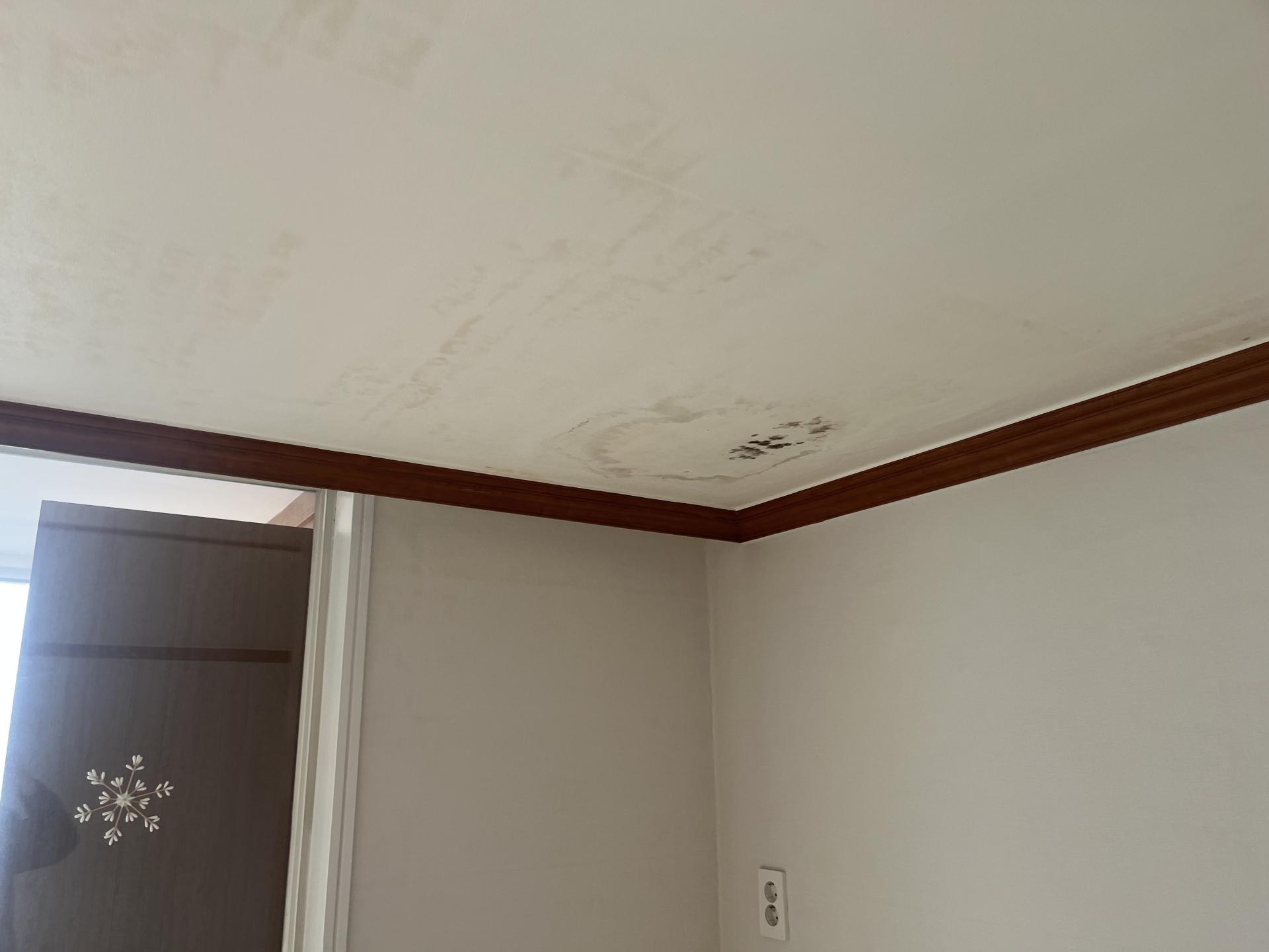8429ef45539ce.jpg