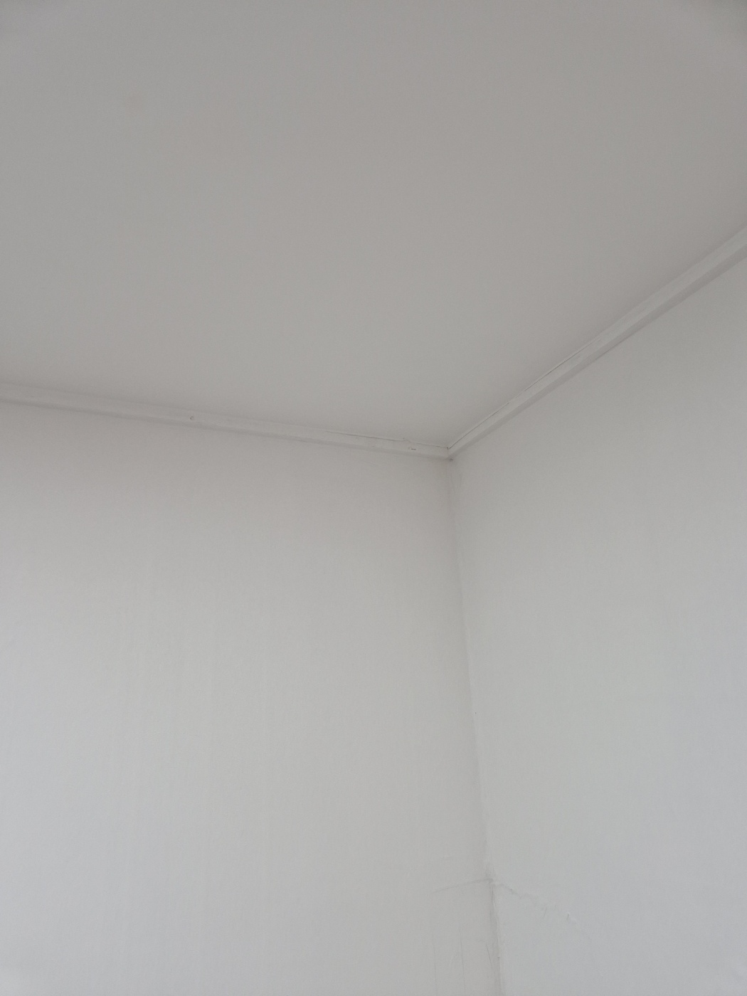 8628dd4a6bfa3.jpg