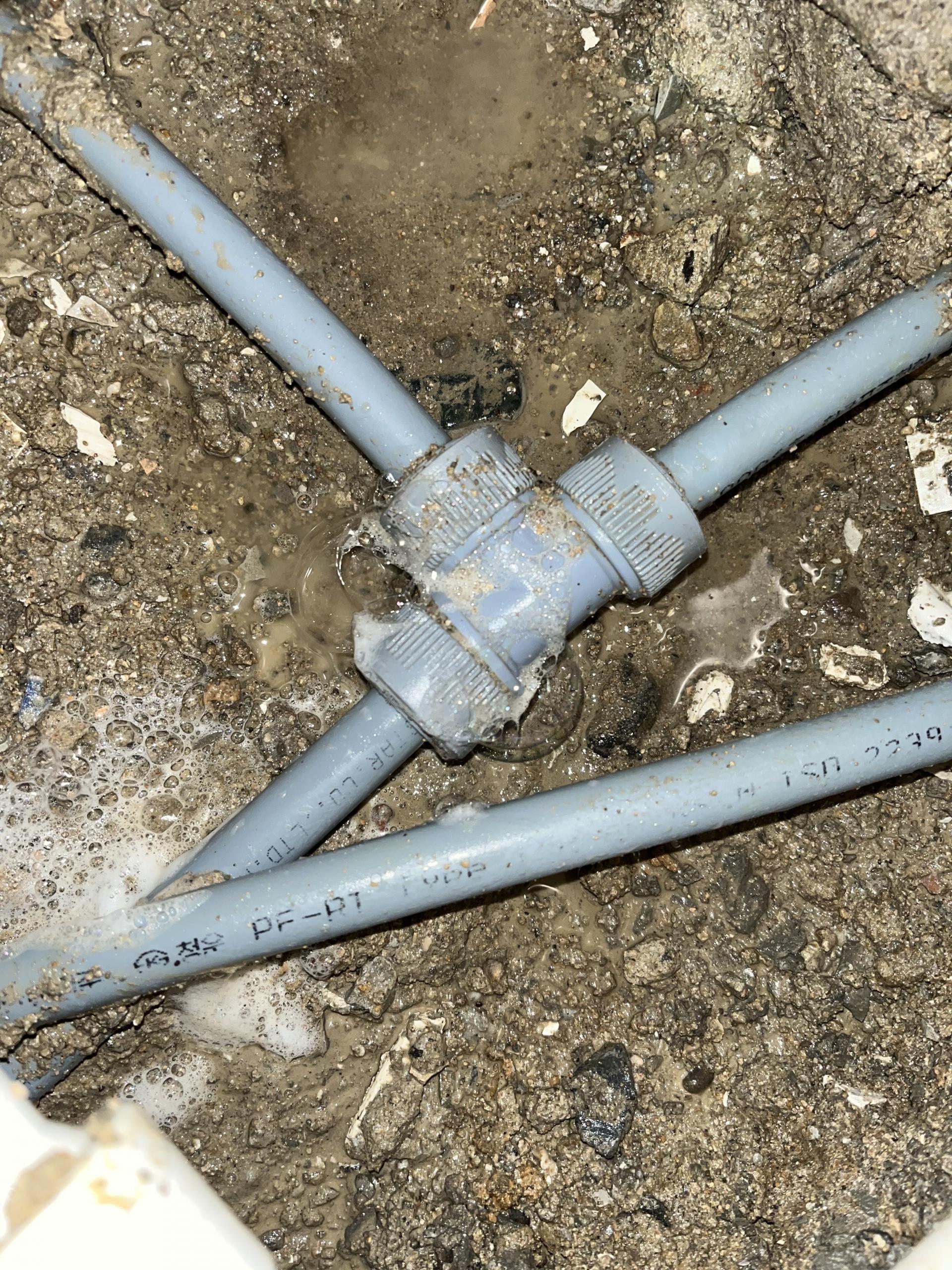 88c875998d0fd.jpg