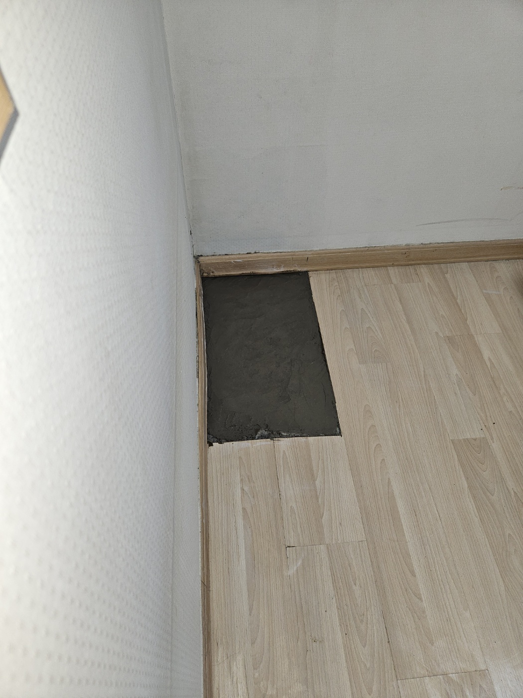 b528121cb198c.jpg