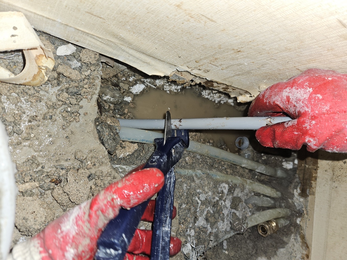 c443b54f46005.jpg