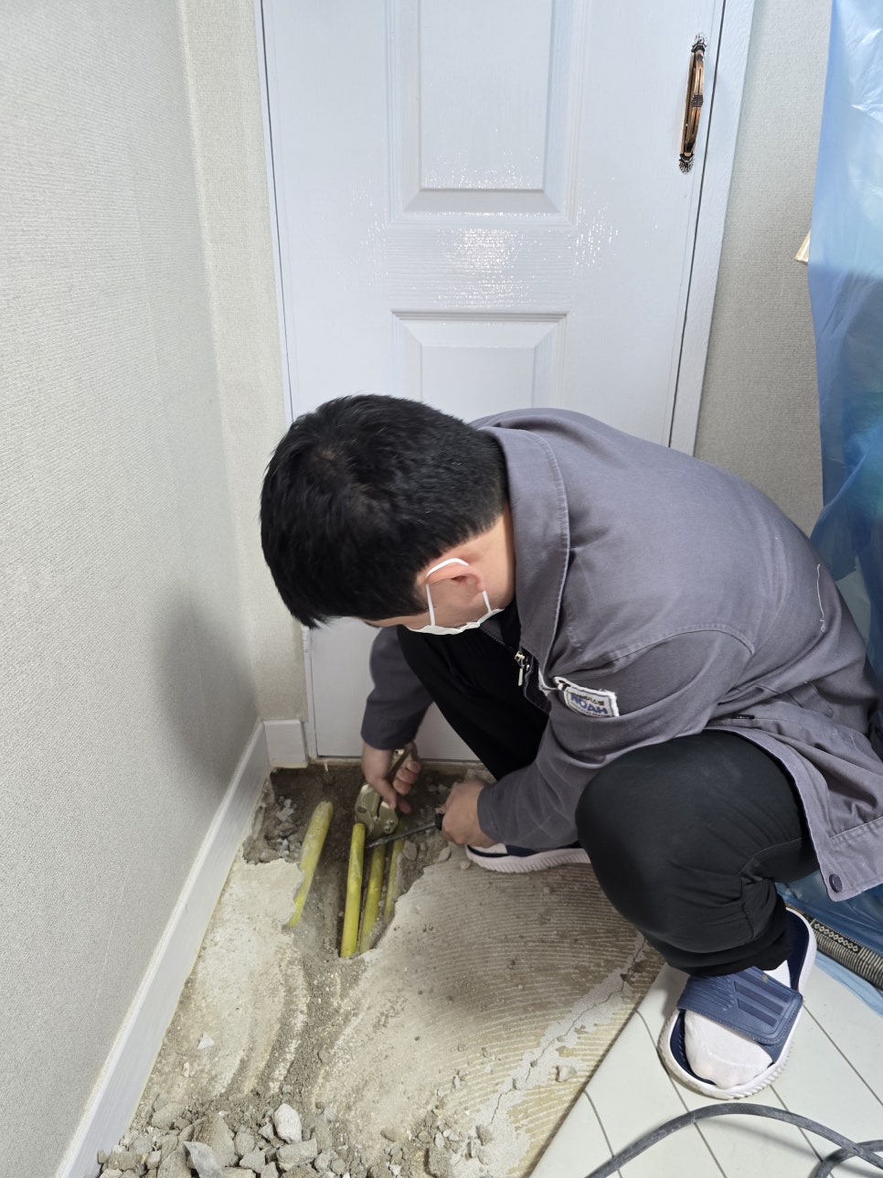 dccde08134344.jpg