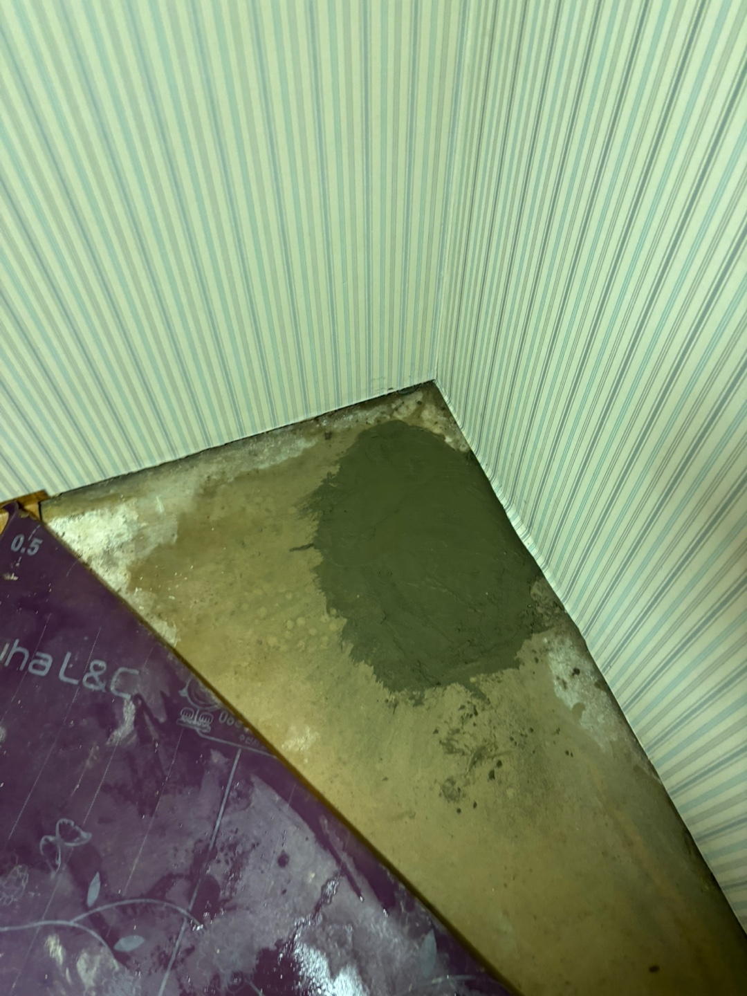 f06b4eae2950a.jpg