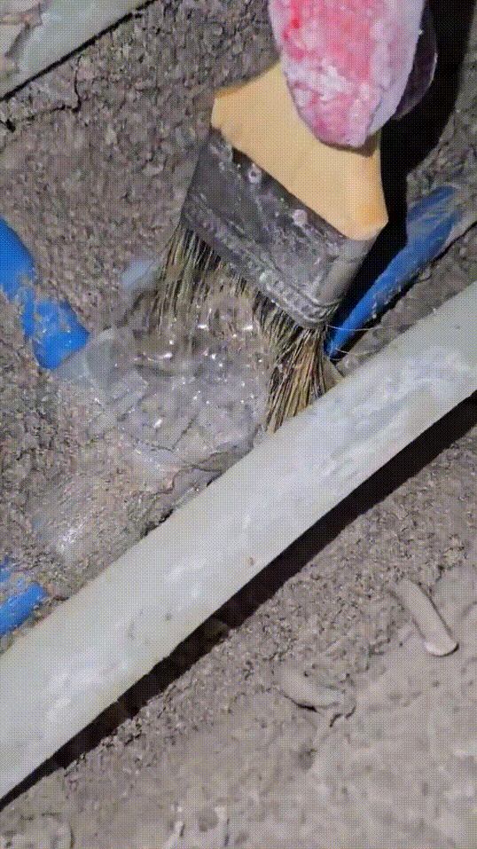f50b28e4ce8df.gif