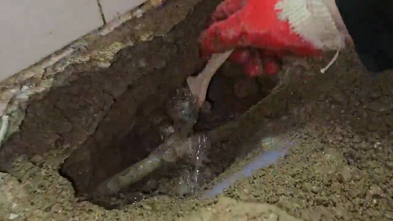 fe07933d10ce5.gif