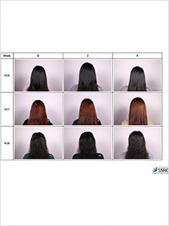 240077f324bb2.jpg