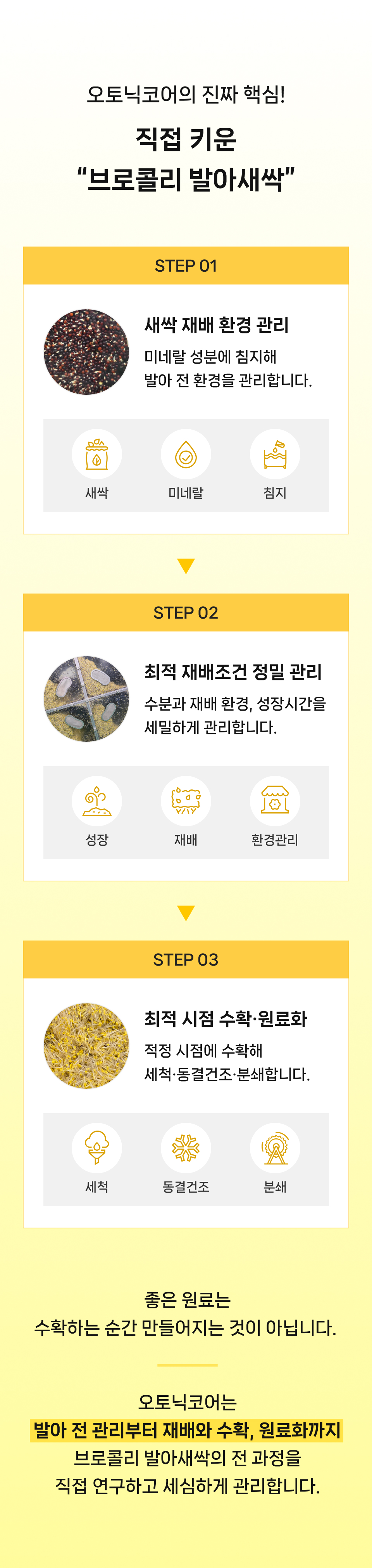 [박람회 전용] 오토닉 코어
