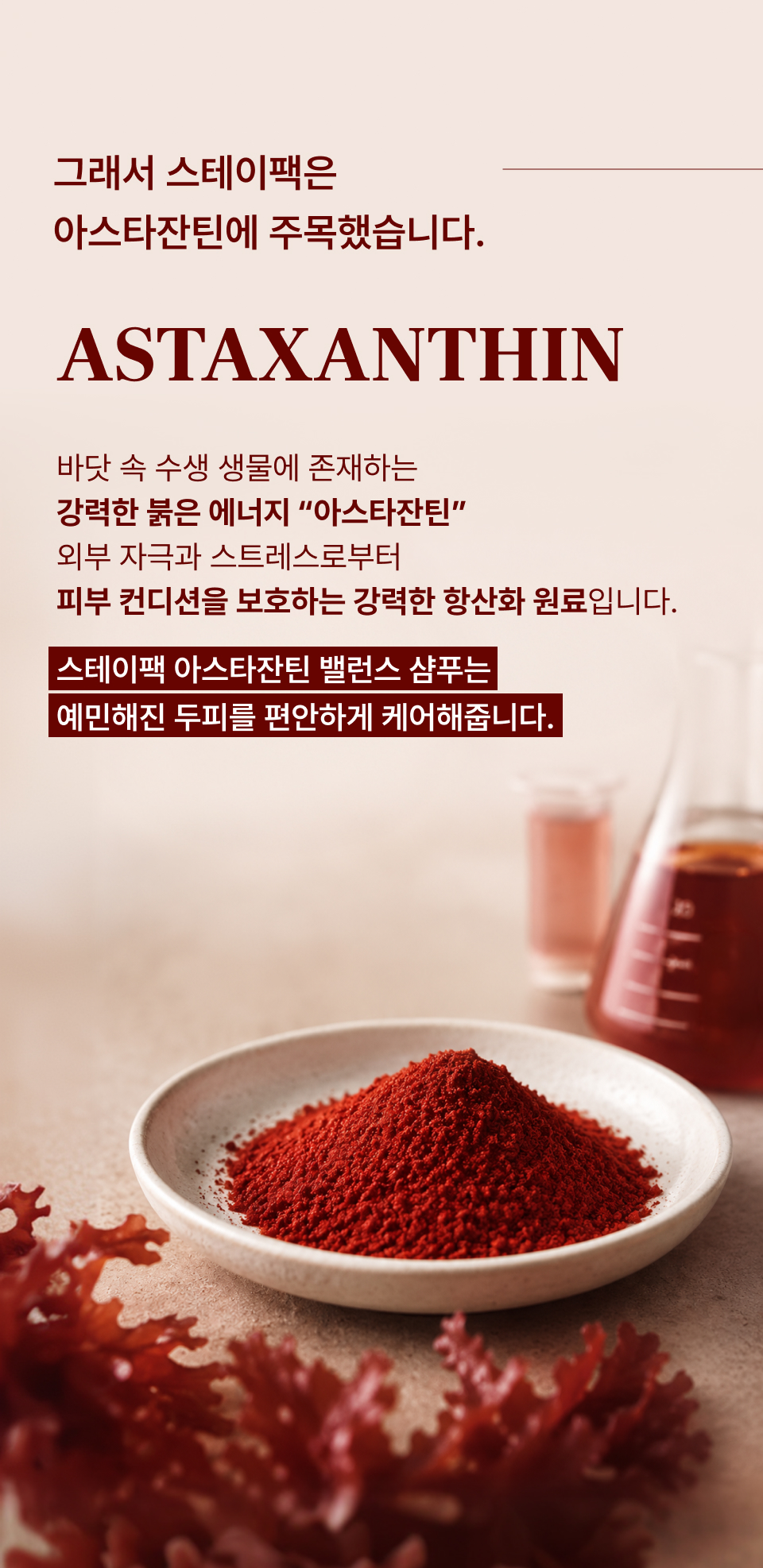 아스타잔틴 밸런스 샴푸