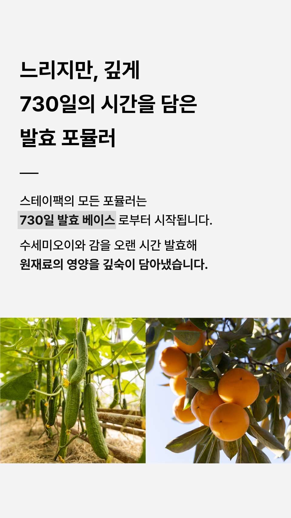스테이팩 올라운드 솝