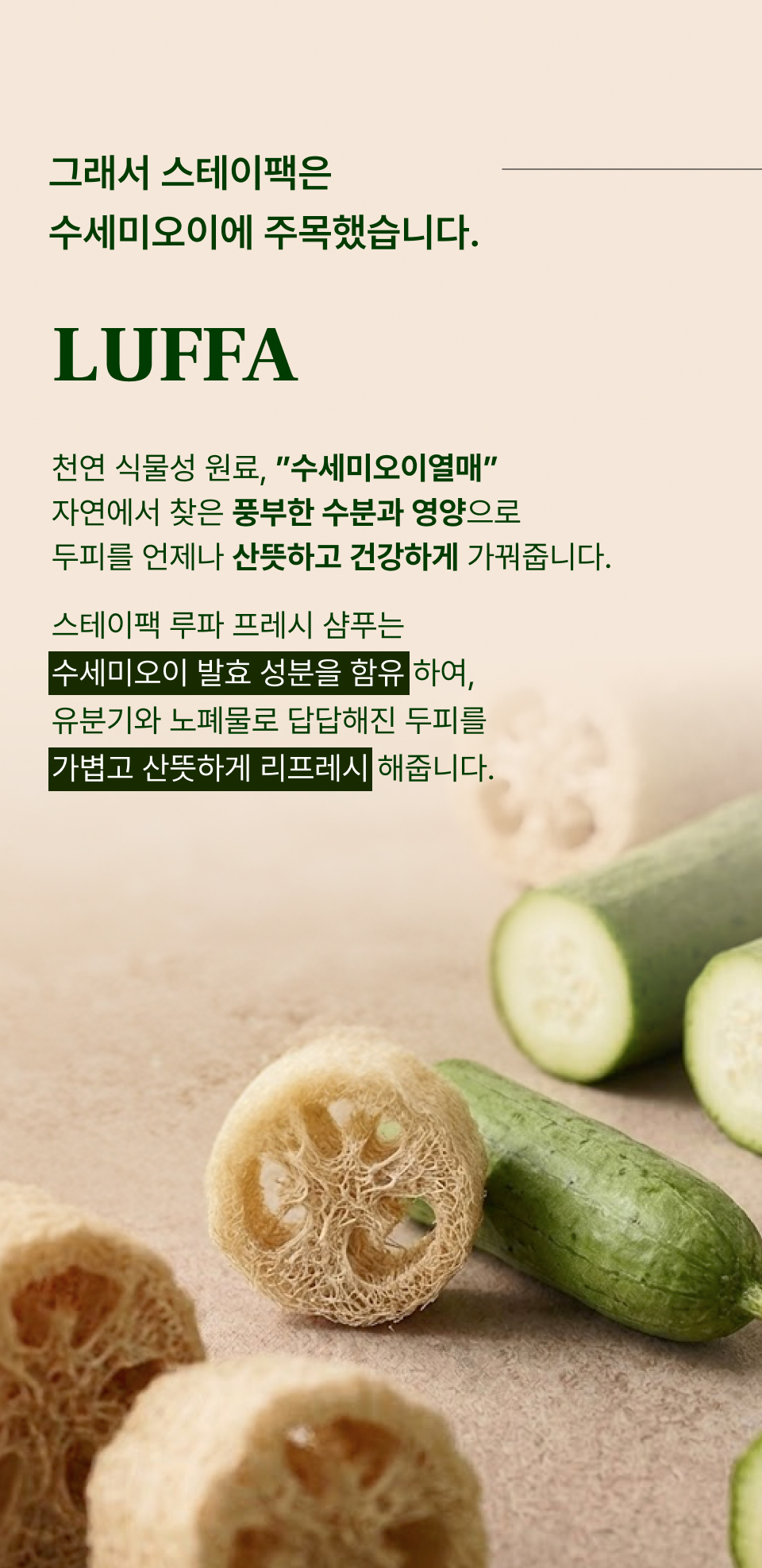 루파 프레쉬 샴푸