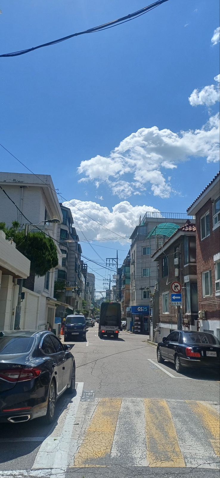 e557050dc2215.jpg