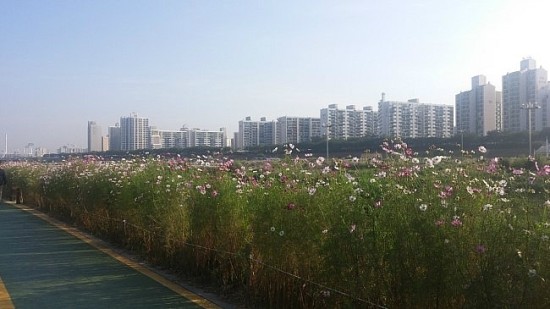 a77400f7622c6.jpg