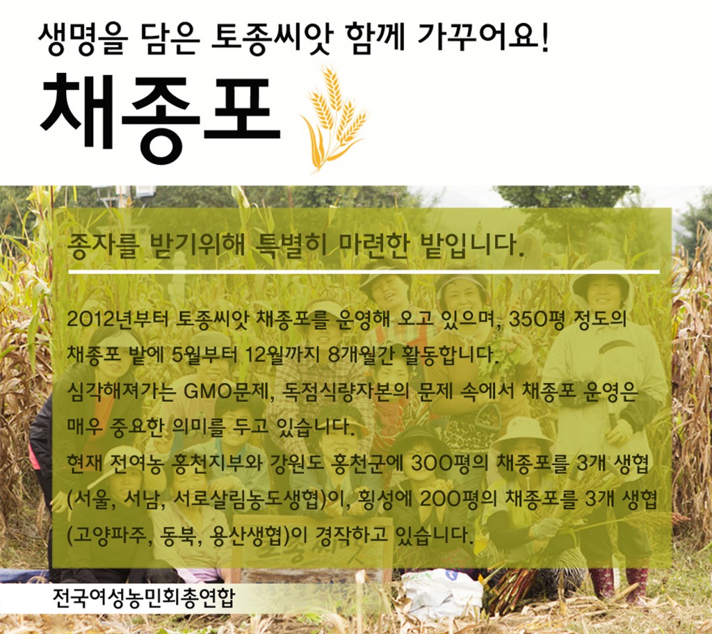c96cbcf0db284.jpeg