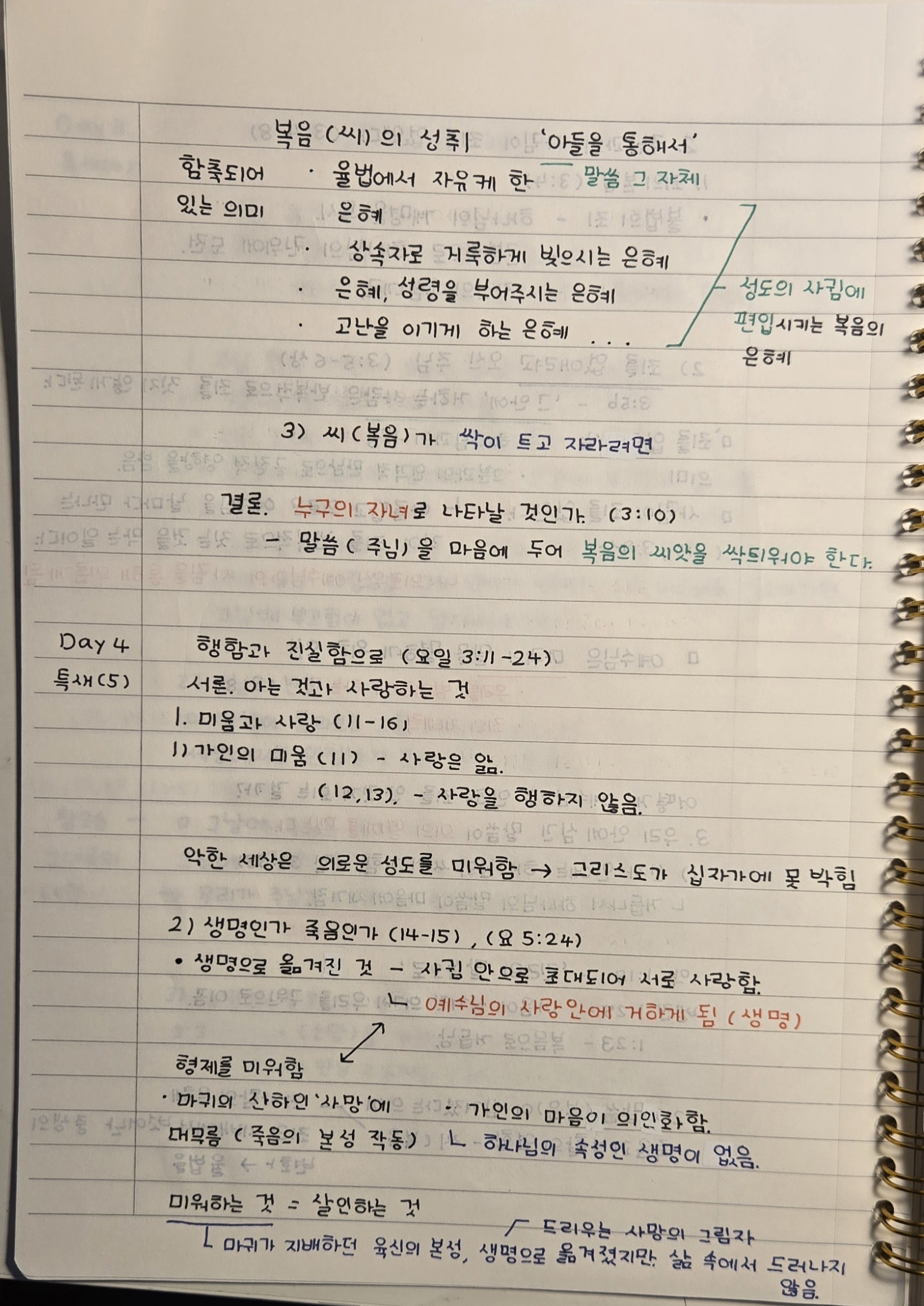 98a264e0a6d05.jpg