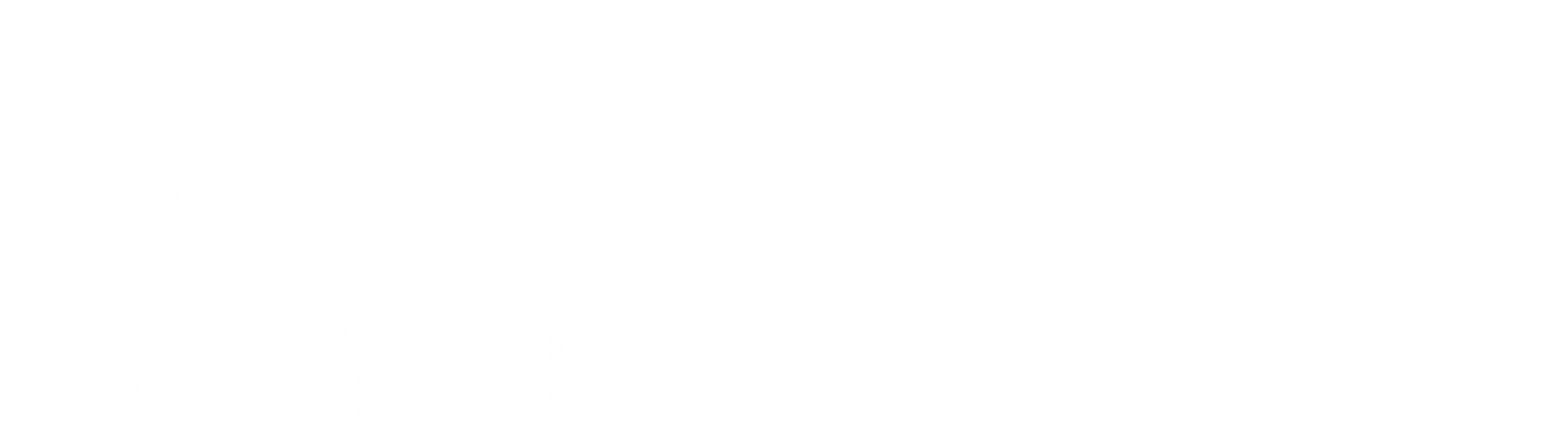 Epin Co Ltd 