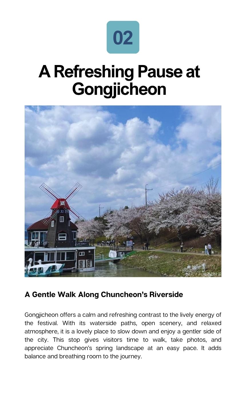 [5/25] Samcheok Rose Festival