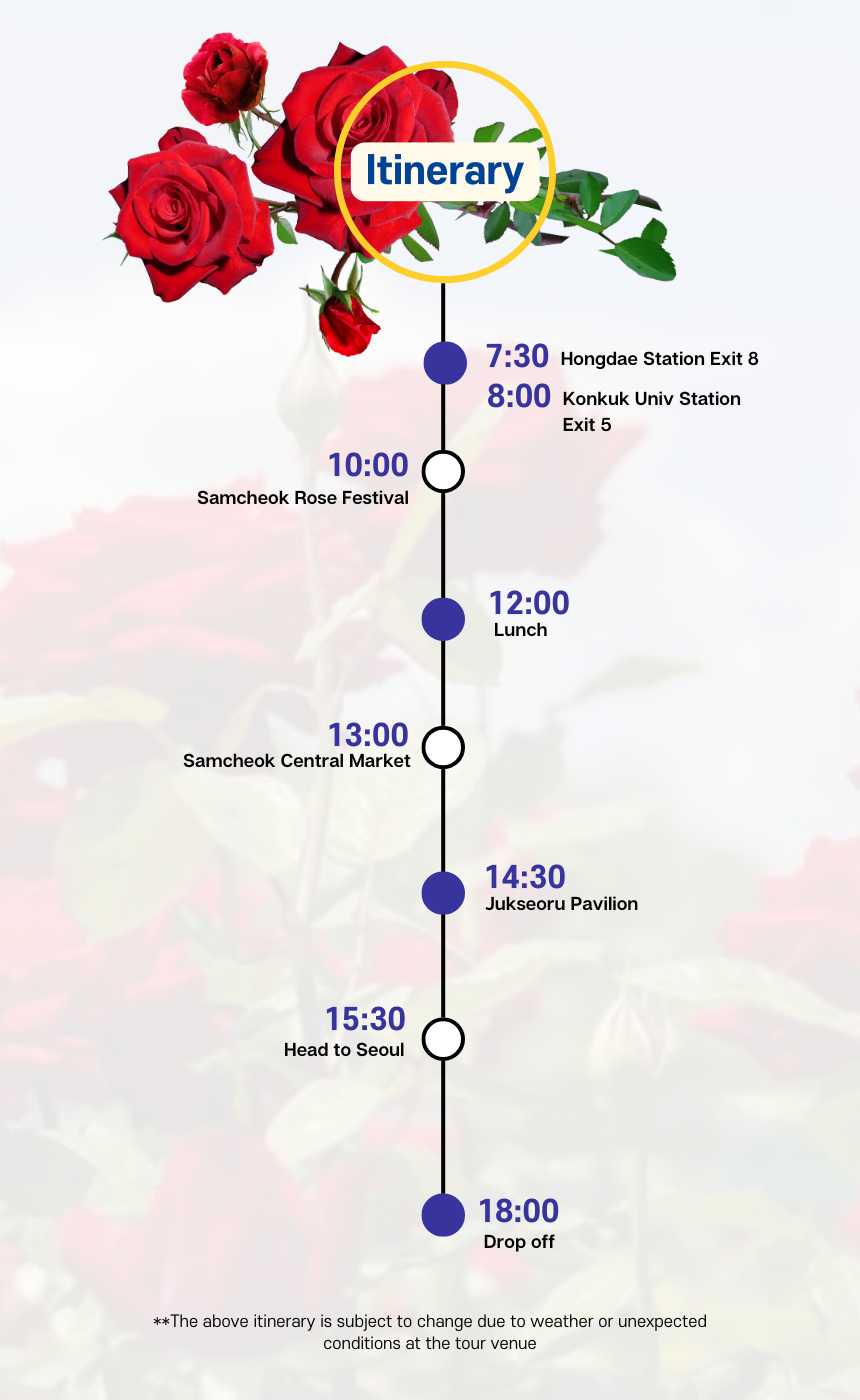 [5/25] Samcheok Rose Festival