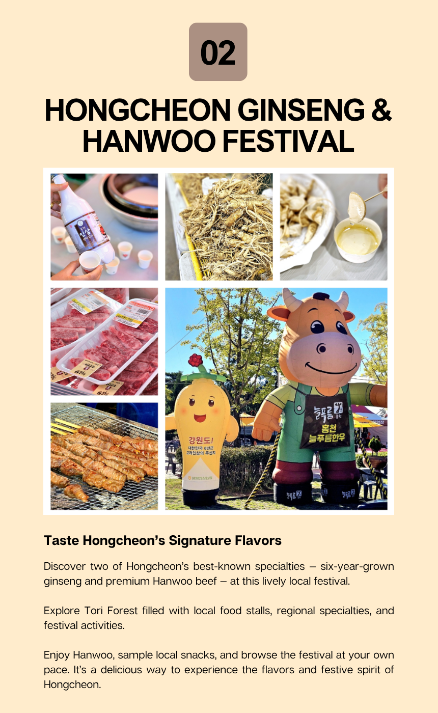 [10/11]Taste of Hongcheon: Hanwoo, Ginseng & Local Market Tour