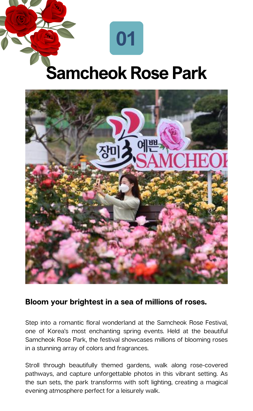 [5/25] Samcheok Rose Festival