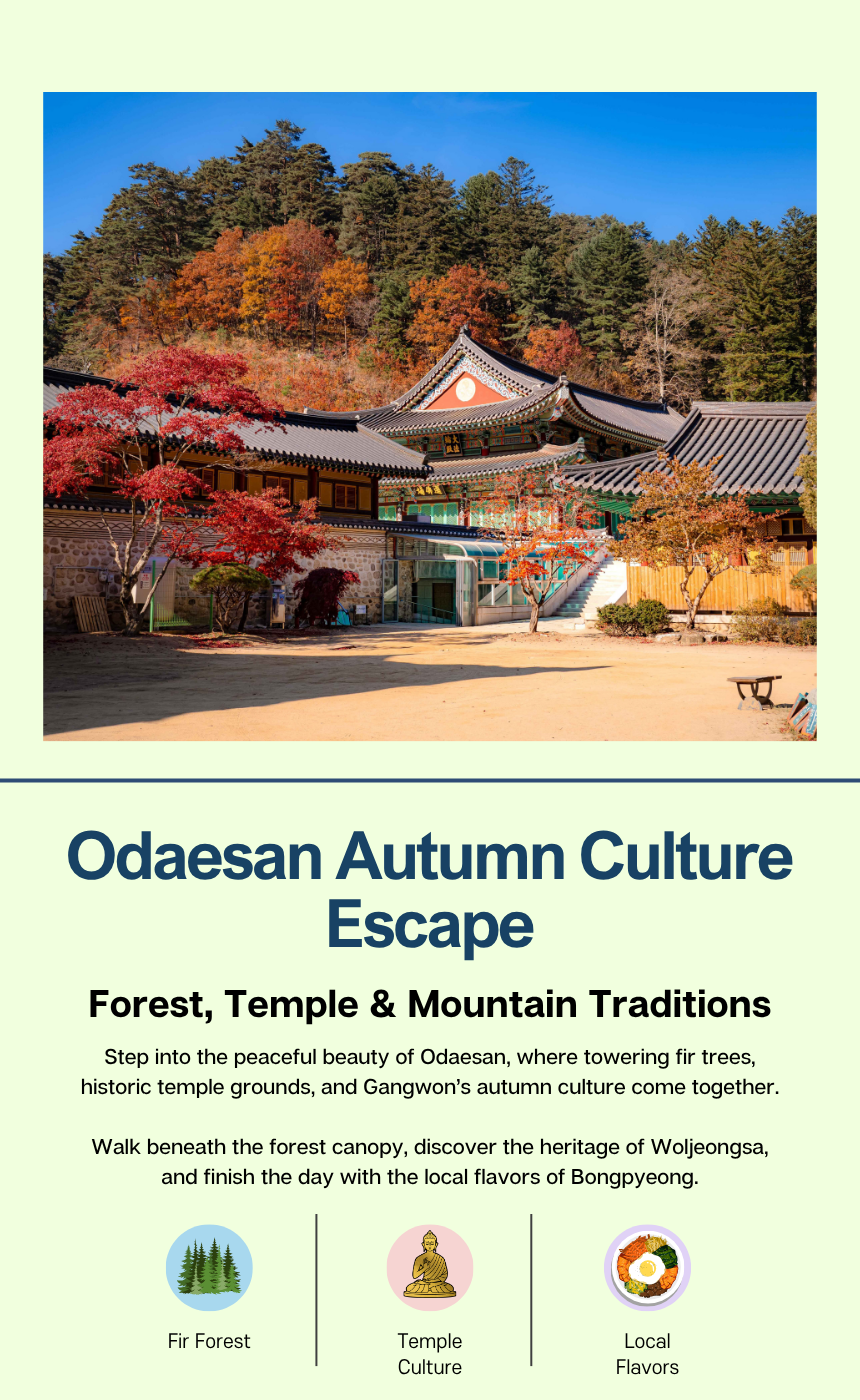 [10/9]ODAESAN AUTUMN CULTURE ESCAPE