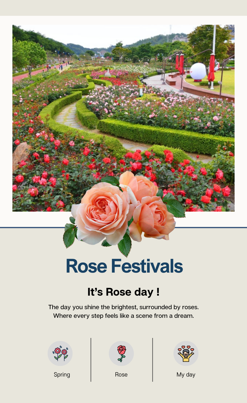 [5/25] Samcheok Rose Festival