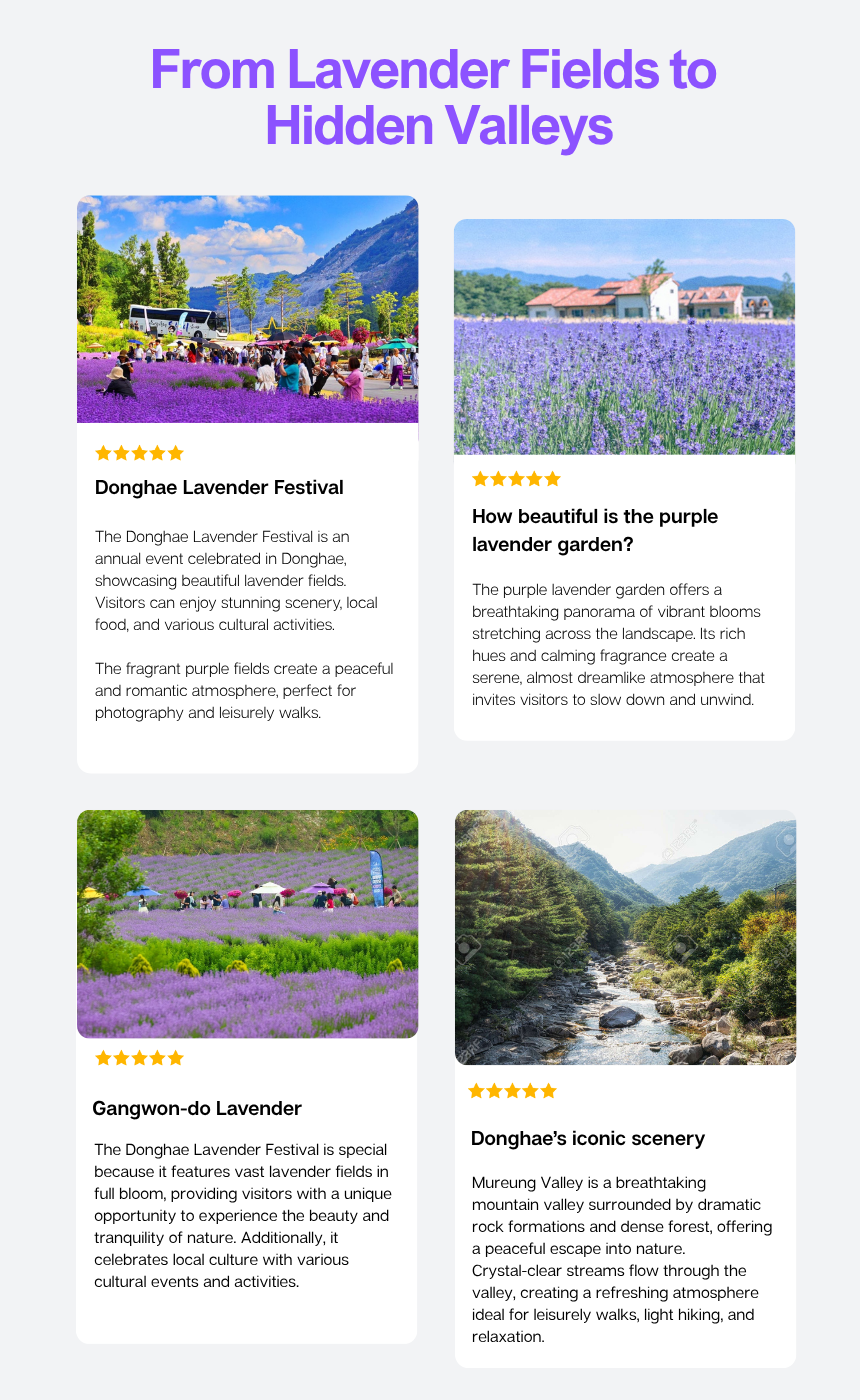 [6/14] Donghae Lavender Festival