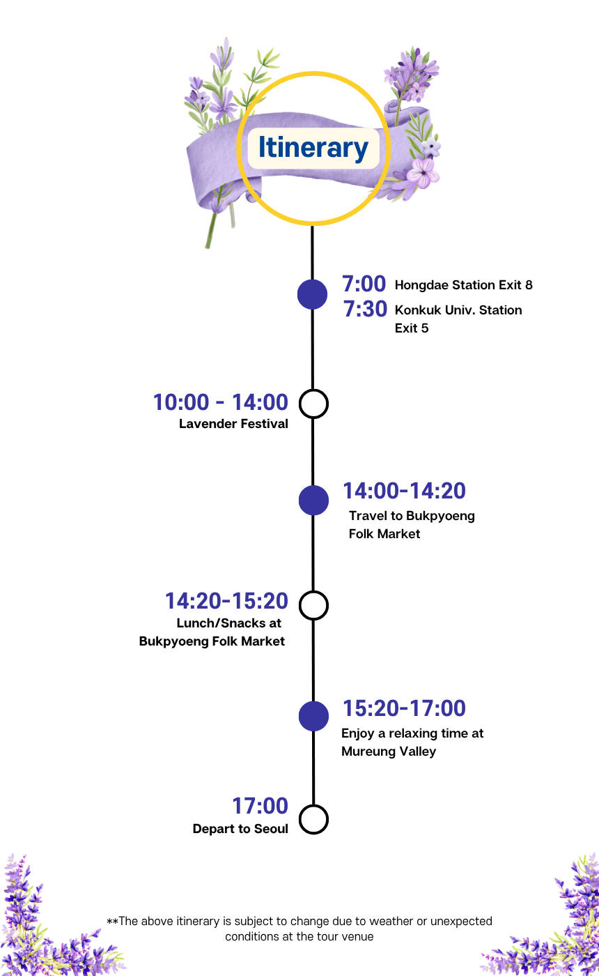 [6/14] Donghae Lavender Festival