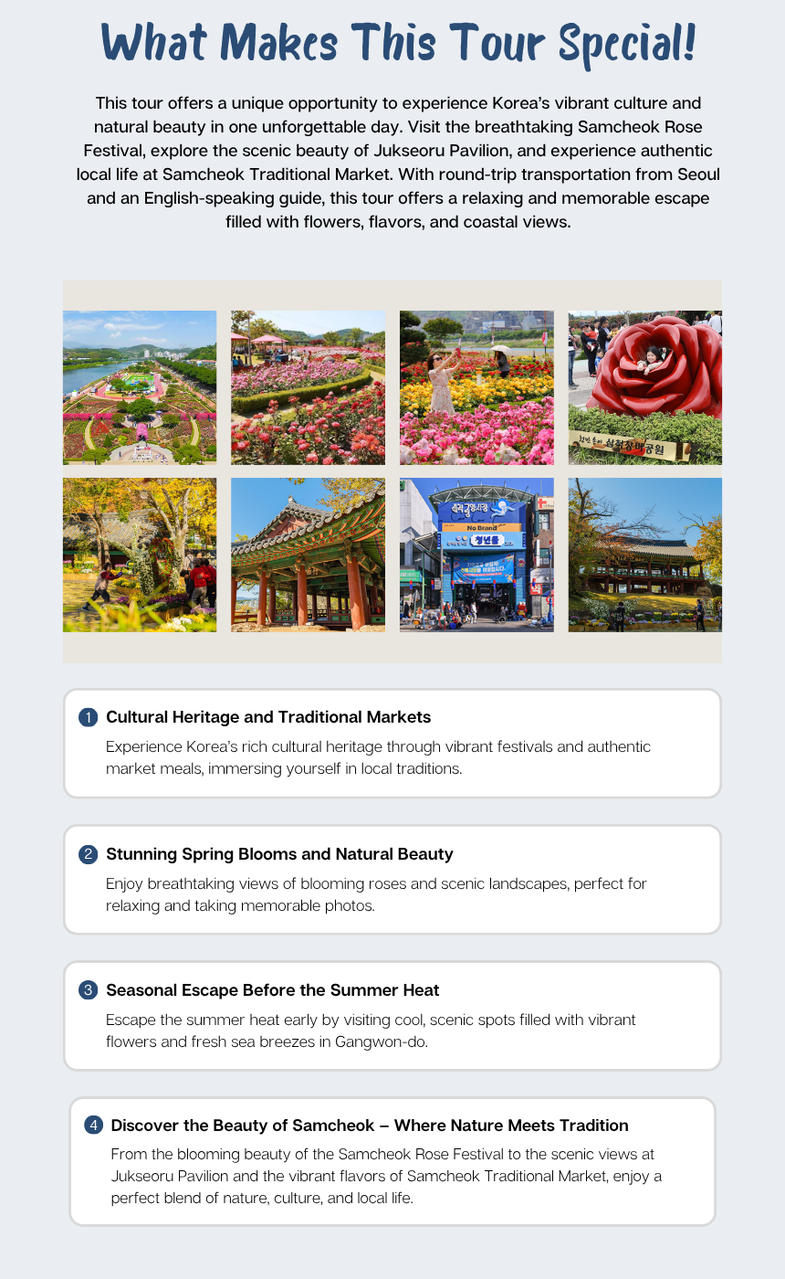 [5/25] Samcheok Rose Festival