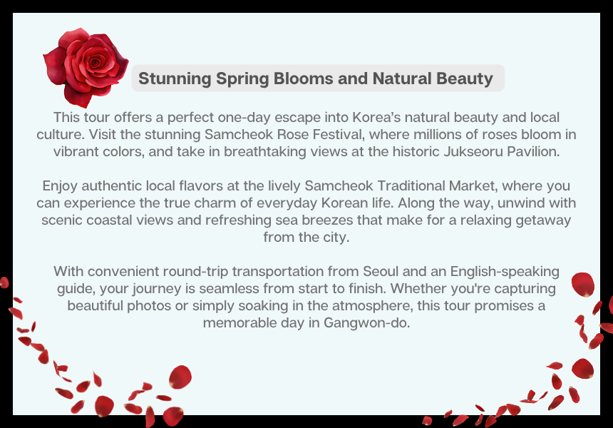[5/25] Samcheok Rose Festival