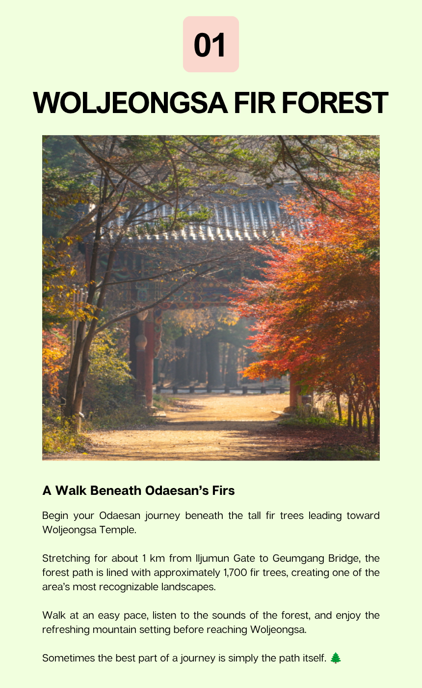 [10/9]ODAESAN AUTUMN CULTURE ESCAPE