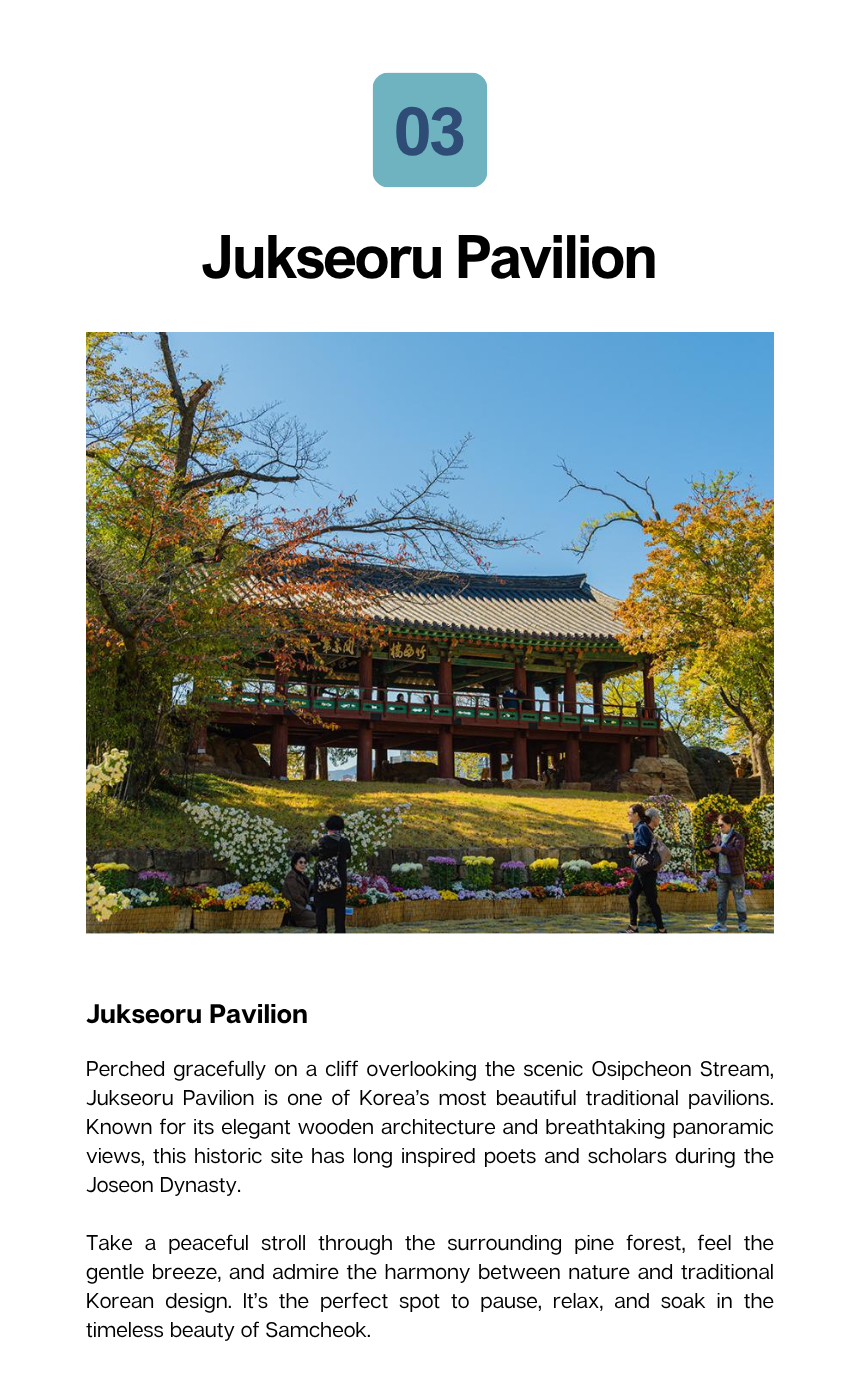 [5/25] Samcheok Rose Festival