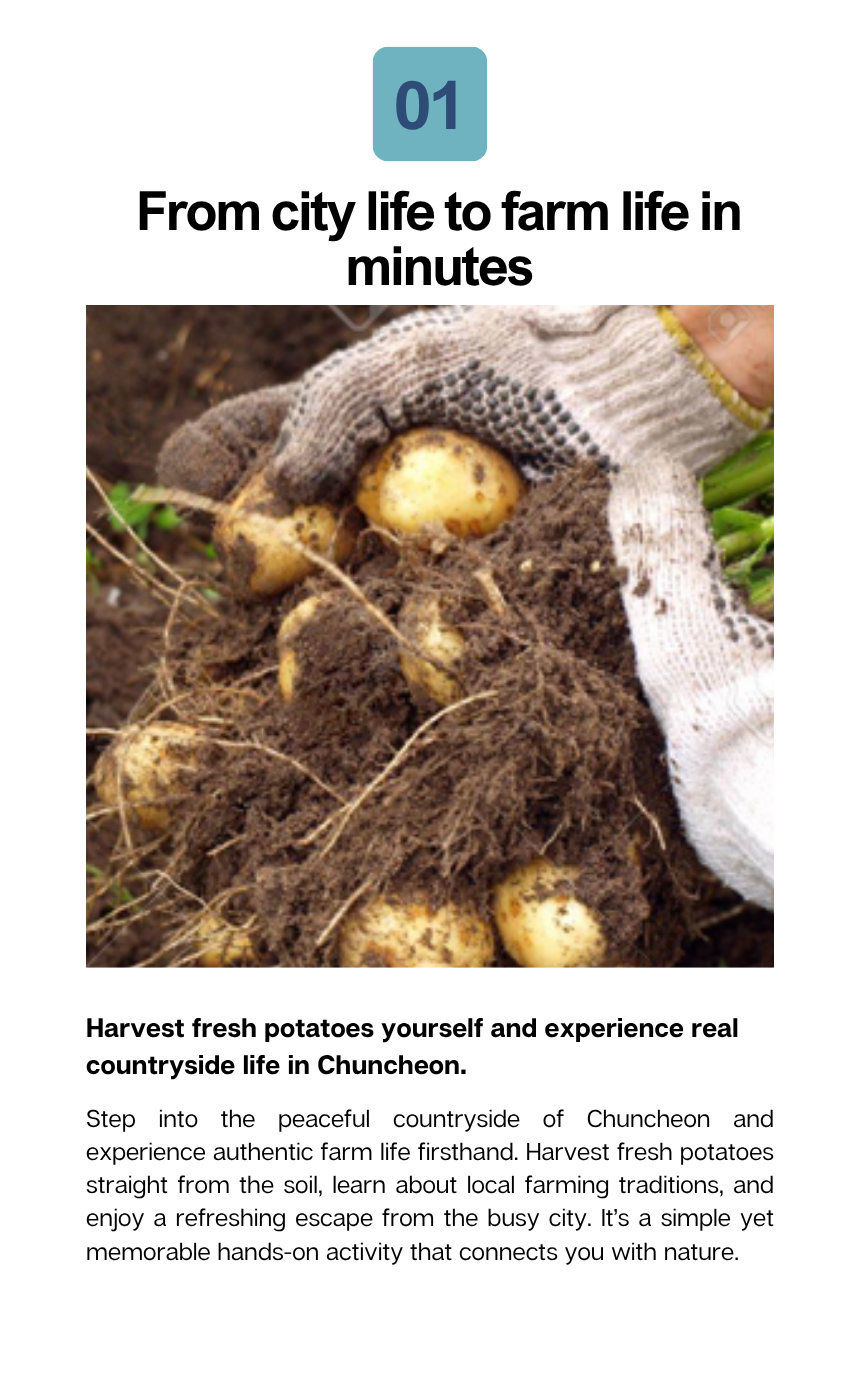 [6/28] · Chuncheon Potato Festa